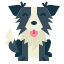 border-collie-icons